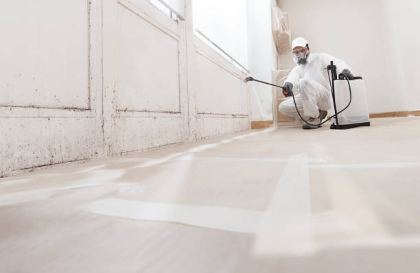 24/7 Emergency Commercial Mold Remediation experts in Fort Monmouth, NJ