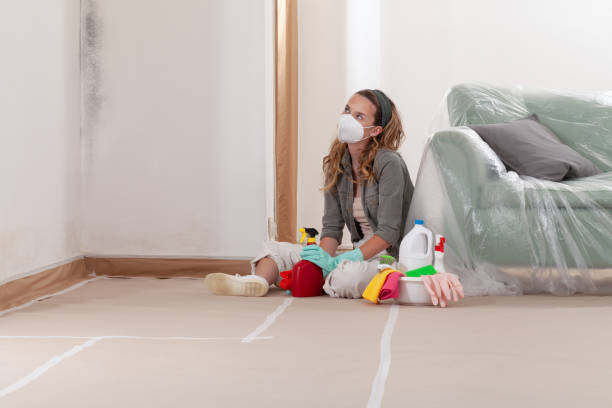 Reliable Commercial Mold Remediation contractor in Fort Monmouth, NJ by Car Mold Remediation