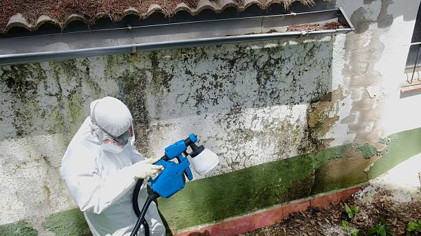 Top rated local Commercial Mold Remediation specialists in Fort Monmouth, NJ